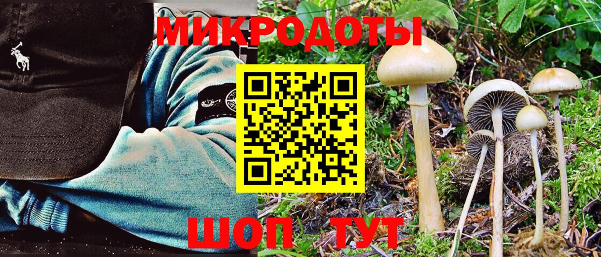 Псилоцибиновые грибы прущие грибы Аша