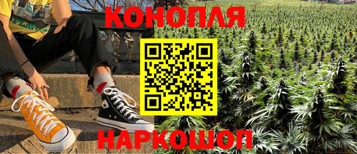 Аша  Канабис семена  Каннабис Ganja  Марихуана гибрид  Вход с VPN 
